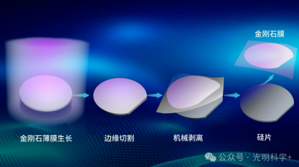 重磅!2025年度中国科学十大进展发布